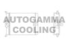 AUTOGAMMA 103452 Heat Exchanger, interior heating